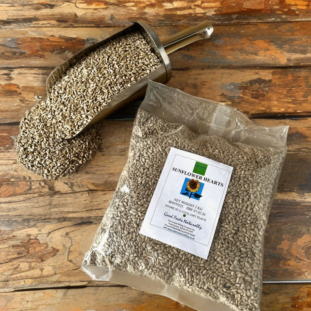 Sunflower Hearts
