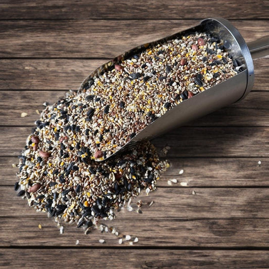 High Flier Wild Bird Food